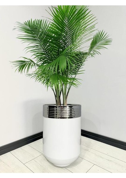 Elegant Dekoratif Krom Darbuka Parlak Beyaz Saksı 60CM