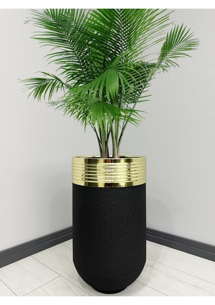 Elegant Dekoratif Gold Darbuka Siyah Saksı 70CM