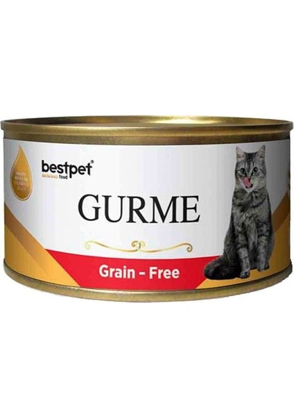 Gurme Jöleli Biftekli Yetişkin Konserve Kedi Maması 100 gr