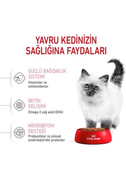 Kitten Yavru Kedi Maması 400+400 gr Hediyeli