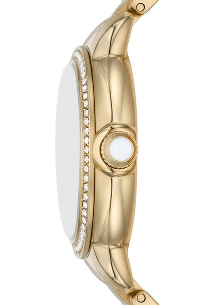 AR11609 Kadın Kol Saati fiyatları