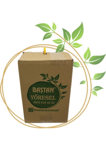 Baştan Yöresel 5kg Teneke Kestane Balı