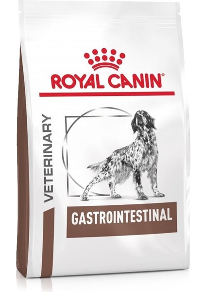 Royal Canın Gastrointestinal Köpek Maması 2 kg