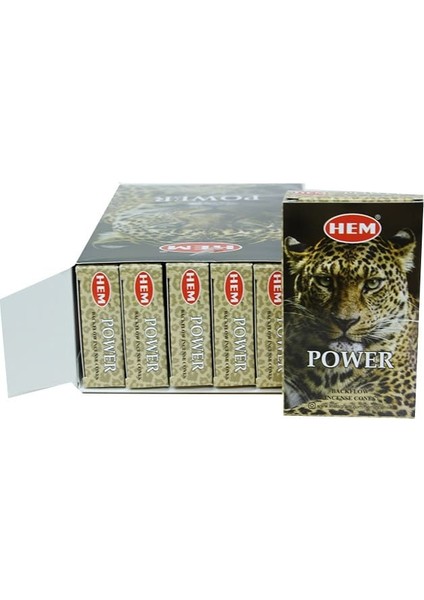 Power Back Flow Cones 10'lu fiyatları