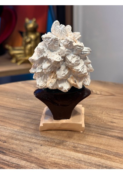 Iki Cadı Tasarım, Einstein Portre Taş Figür, Biblo modelleri