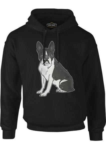 Hayvan - Köpek Terrier Siyah Erkek Fermuarsız Kapşonlu