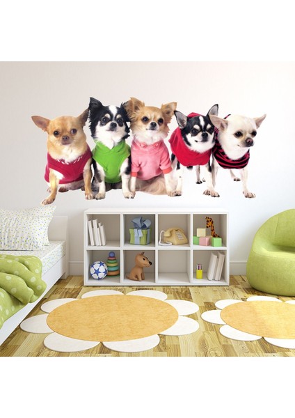 Chihuahua Yavru Köpekler Dekoratif Duvar Sticker Çıkartma Bebek Çocuk Odası