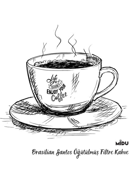 Brasılıan Santos Filtre Kahve 250GR fiyatları