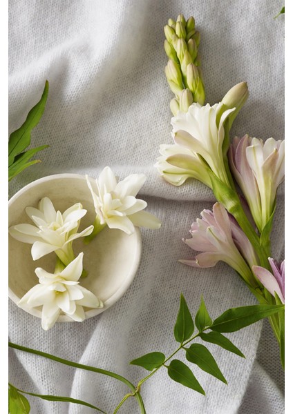 Tubervse & Cashmere Oda Kokusu, Çubuklu Oda Kokusu, Reed Diffuser 120 ml