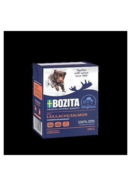 Somonlu Yetişkin Köpek Konserve Maması 370 gr