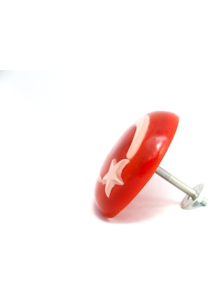 Türk Bayrağı Kaliteli Etiket Panjur Arması 3 Boyutlu Vidalı Arma (459478390) fiyatları