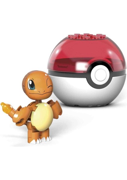 Mega Pokemon Poke Ball Charmander