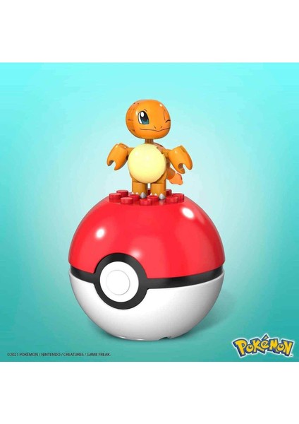 Mega Pokemon Poke Ball Charmander