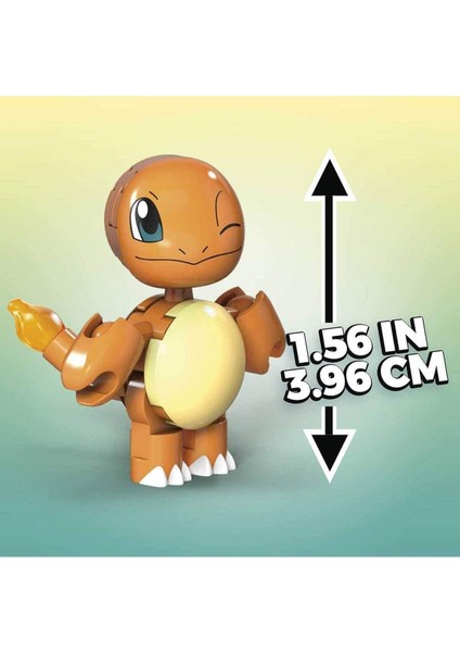 Mega Pokemon Poke Ball Charmander