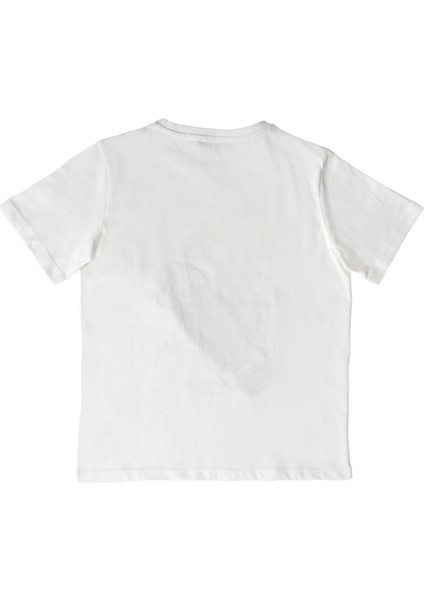 Erkek Çocuk Tshirt NFR-B500322 modelleri