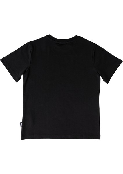 NFR-B500340 Erkek Çocuk Tişört modelleri