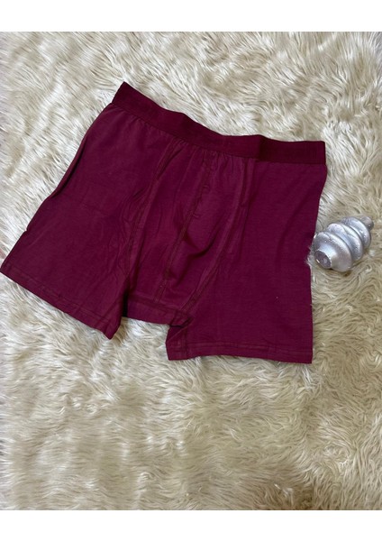 0602 Likralı Erkek Boxer Lüx Erşah