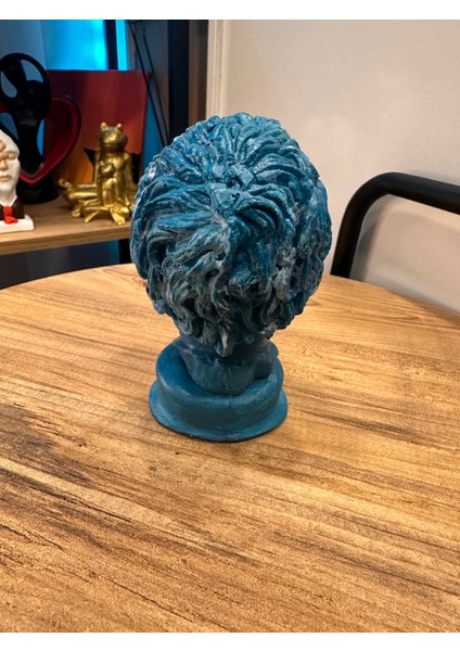 Socrates Biblo-Mavi fırsatları