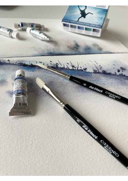 Casaneo Sulu Boya 2'li Fırça Seti Seri 5391 fiyatları