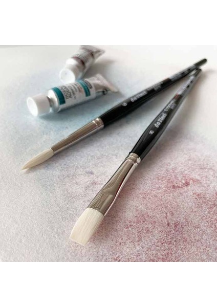 Casaneo Sulu Boya 2'li Fırça Seti Seri 5391 modelleri