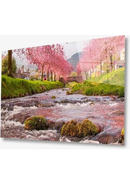 Doğa Cam Tablo