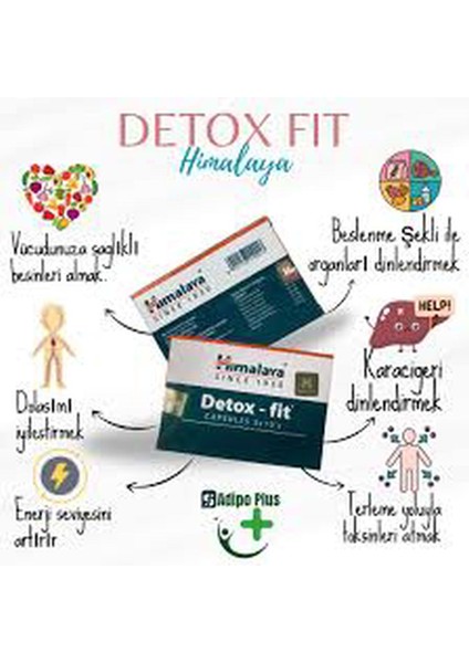 Detox Fit Su Atıcı Fat Burner 30 Kapsül fiyatları