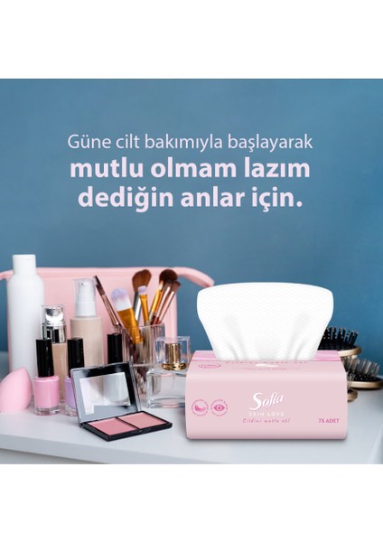 Skin Love Pudra Kokulu Mendil 100'LÜ 3 Paket