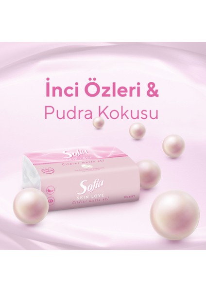 Skin Love Pudra Kokulu Mendil 100'LÜ 3 Paket