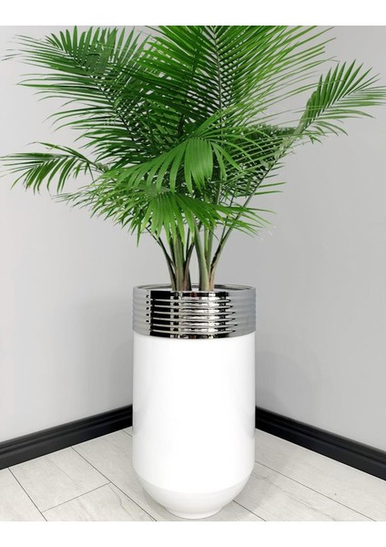 Elegant Dekoratif Krom Darbuka Parlak Beyaz Saksı 70 cm