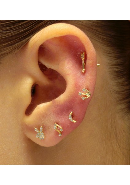 14 Ayar Altın Piercing Tragus Küpe