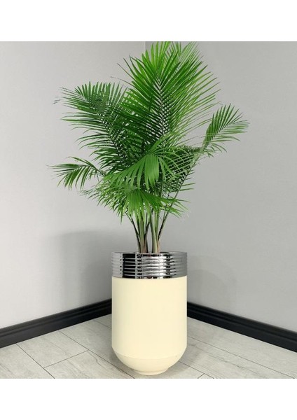 Elegant Dekoratif Krom Darbuka Krem Saksı 60 cm