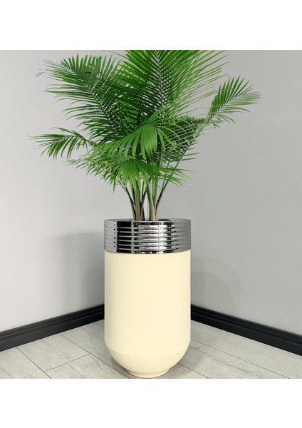 Elegant Dekoratif Krom Darbuka Krem Saksı 70 cm
