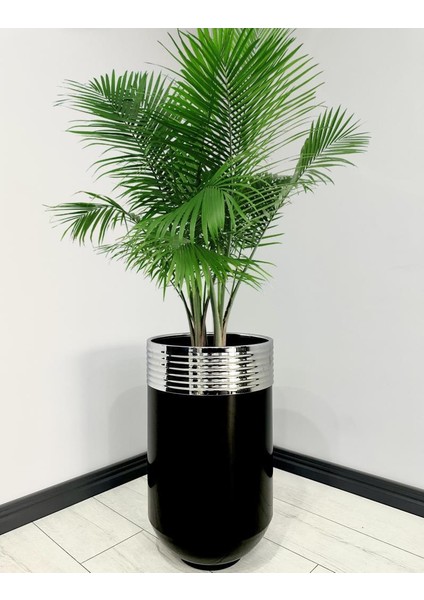 Elegant Dekoratif Krom Darbuka Parlak Siyah Saksı 70 cm