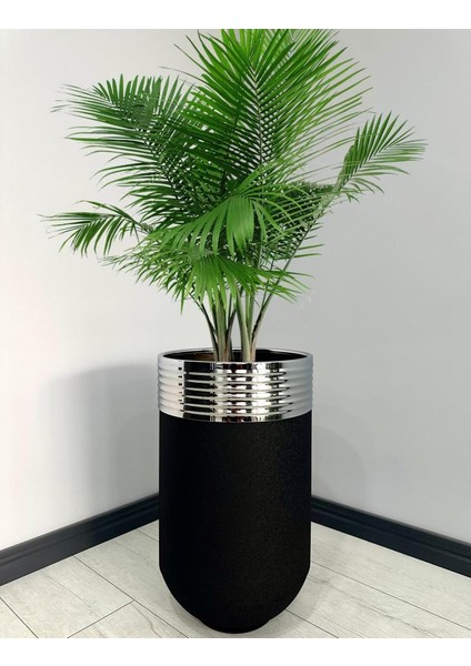 Elegant Dekoratif Krom Darbuka Siyah Saksı 70 cm