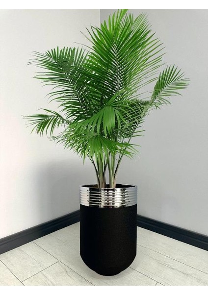 Elegant Dekoratif Krom Darbuka Siyah Saksı 60 cm