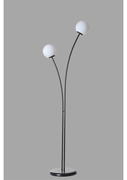 Rose 2 Li Siyah Beyaz Camlı Lambader modelleri