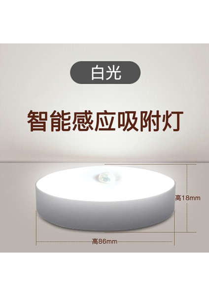 LED Akıllı Insan Vücudu Sensörlü Işık Gece Lambası Sensörü Dolap Işığı Giriş Merdiven Lambası USB Şarj Edilebilir Gece Lambası (Yurt Dışından)