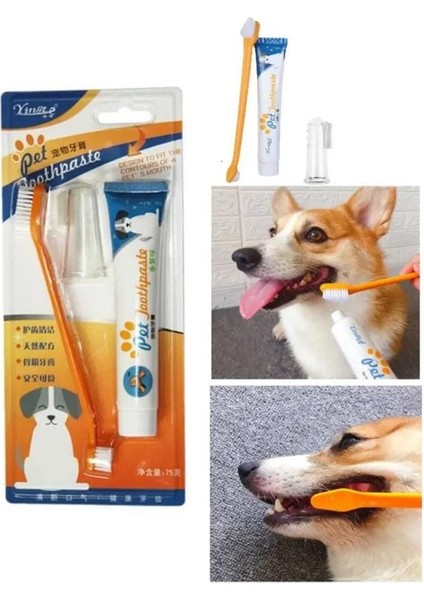 Kedi Köpek Diş Fırçası ve Diş Macunu Seti Yenilebilir Diş Macunu Dental Kit Ağız ve Diş Sağlık Seti