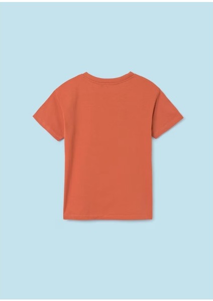 Erkek Çocuk 2'li T-Shirt Şort Takım modelleri