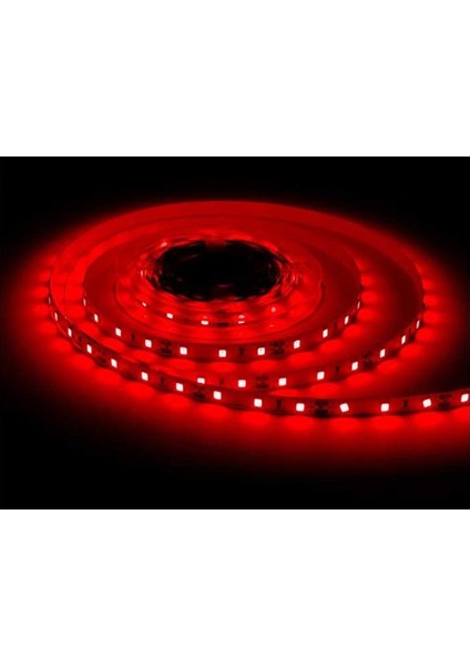 5 Metre Üç Çıp Kırmızı 60LED 12V IP20 Serıt LED