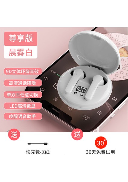 Özel Modelin Popüler Tws Bluetooth Kulaklığı, Kablosuz Kulak Içi, Üst Düzey, Güzel Görünümlü, Uzun Pil Ömrüne Sahip Yeni Model (Yurt Dışından)