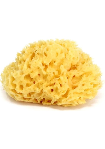 Jelly Küvet Aparatı Splash Bebek Duşu Doğal Banyo Süngeri No.10 / A. Gri