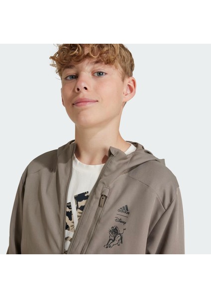 Disney Lion King Çocuk Sweatshirt indirimleri