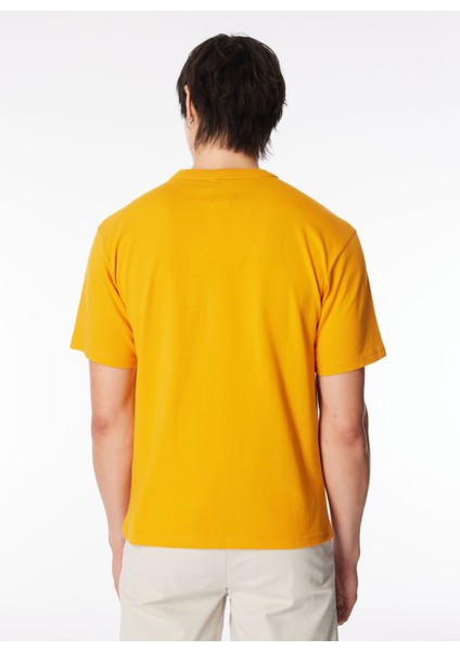 Bisiklet Yaka Çok Renkli Erkek T-Shirt K5127FW_FANTOME Prınt - Pocket indirimleri