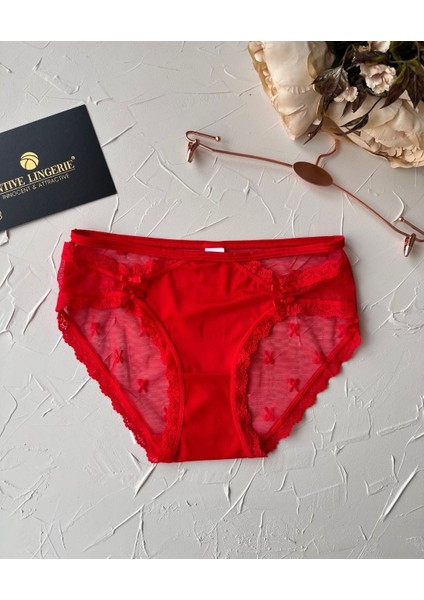 Arya Japon Style Arkası Tül Cut-Out Dantel Detaylı Cheeky KÜLOT/SLIP-2853