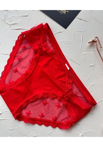 Arya Japon Style Arkası Tül Cut-Out Dantel Detaylı Cheeky KÜLOT/SLIP-2853 fiyatları