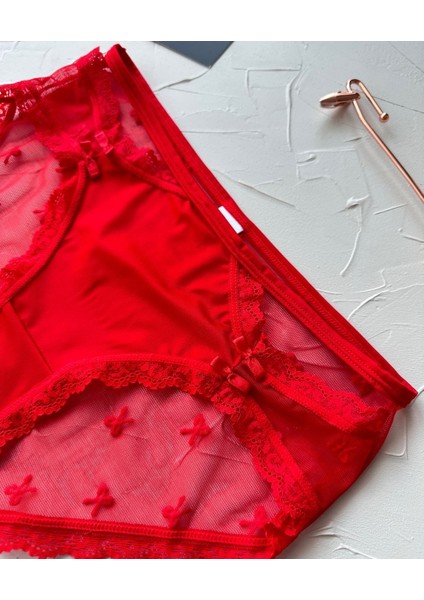 Arya Japon Style Arkası Tül Cut-Out Dantel Detaylı Cheeky KÜLOT/SLIP-2853 modelleri