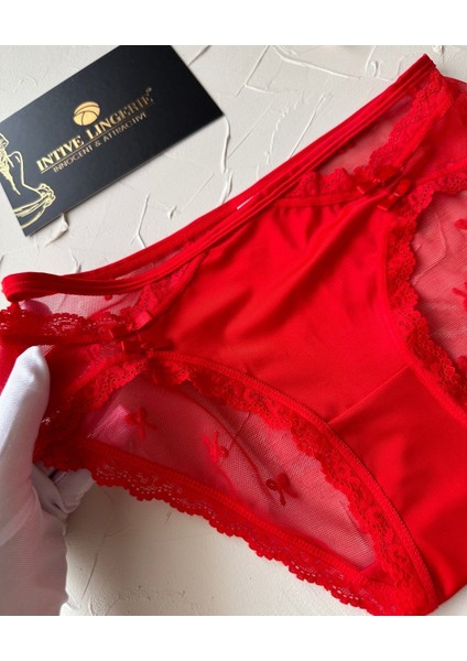 Arya Japon Style Arkası Tül Cut-Out Dantel Detaylı Cheeky KÜLOT/SLIP-2853 fırsatları