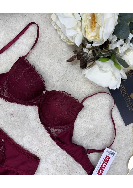 Le Jardin Parlak Simli Ipli Brodeli Push-Up Sütyen Külot TAKIM-5065 fırsatları