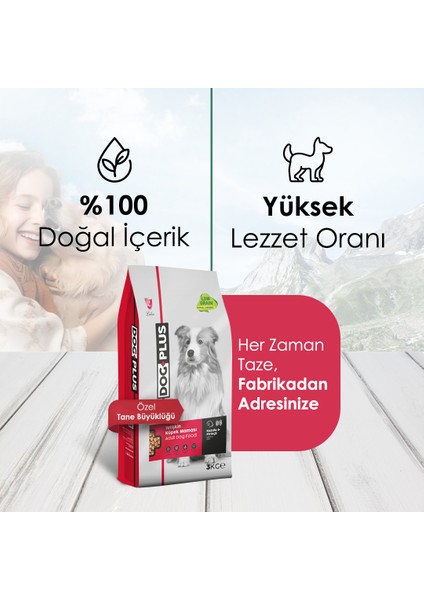 Düşük Tahıllı Hipoalerjenik Kuzu Etli Pirinçli Yetişkin Köpek Maması 3 kg x 2 Adet